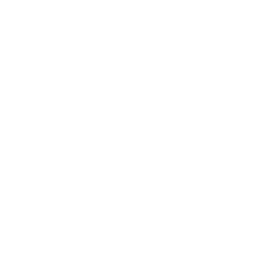 DilloCraft Logo
